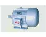 ＺＤＷ系列建筑機(jī)械用錐形三相異步電動(dòng)機(jī)